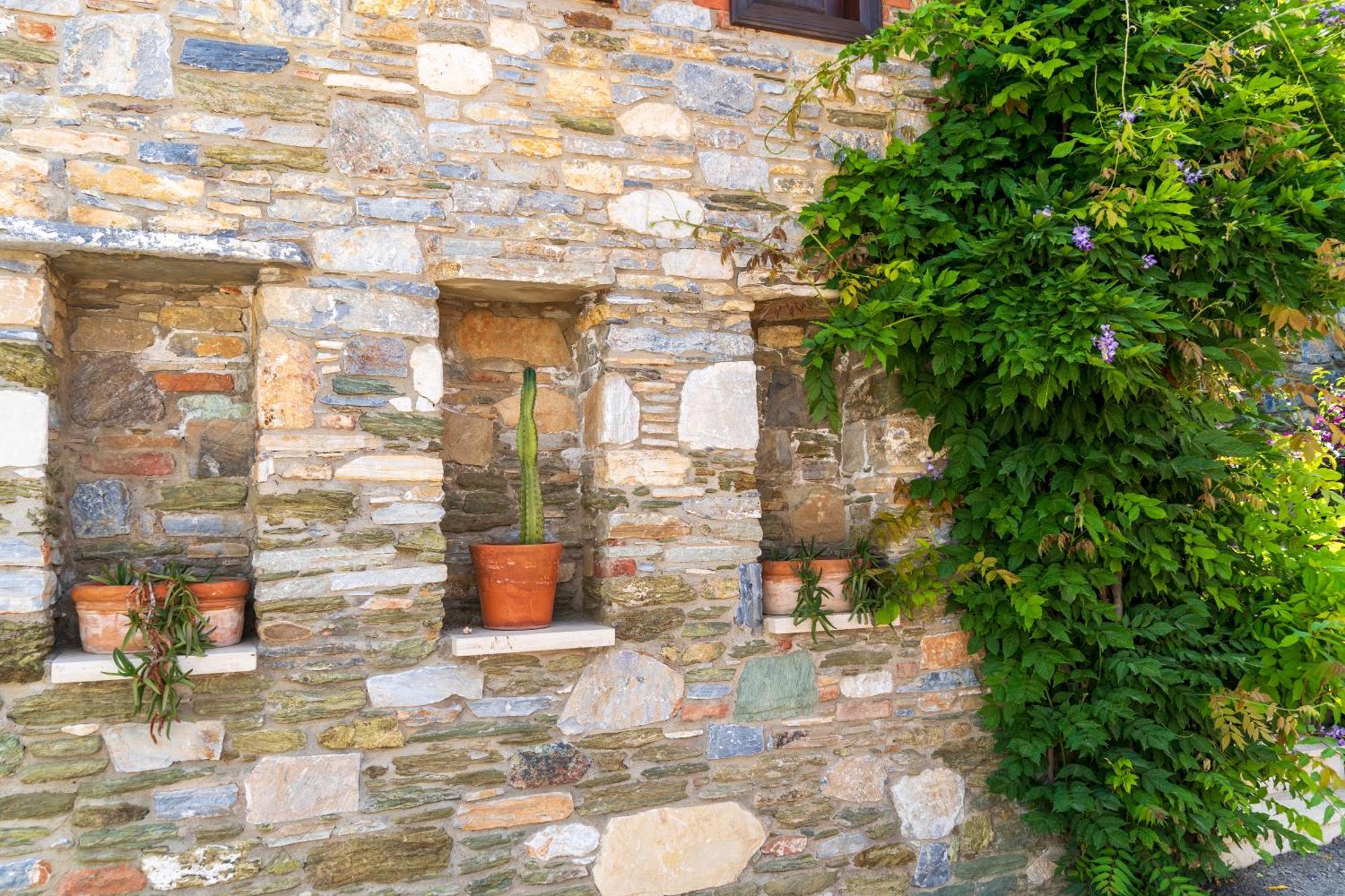 Ionia House Βίλα Σελτσούκ Εξωτερικό φωτογραφία